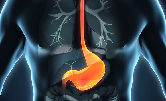 Endoscopia-digestiva – Centro De Endoscopia